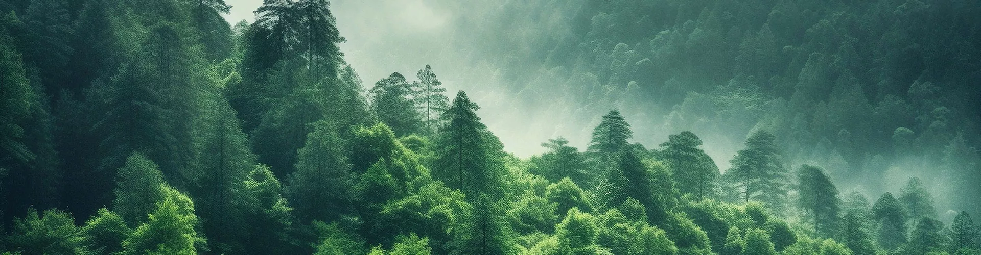 제품