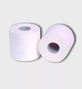 화장지 : 일상적인 필수품